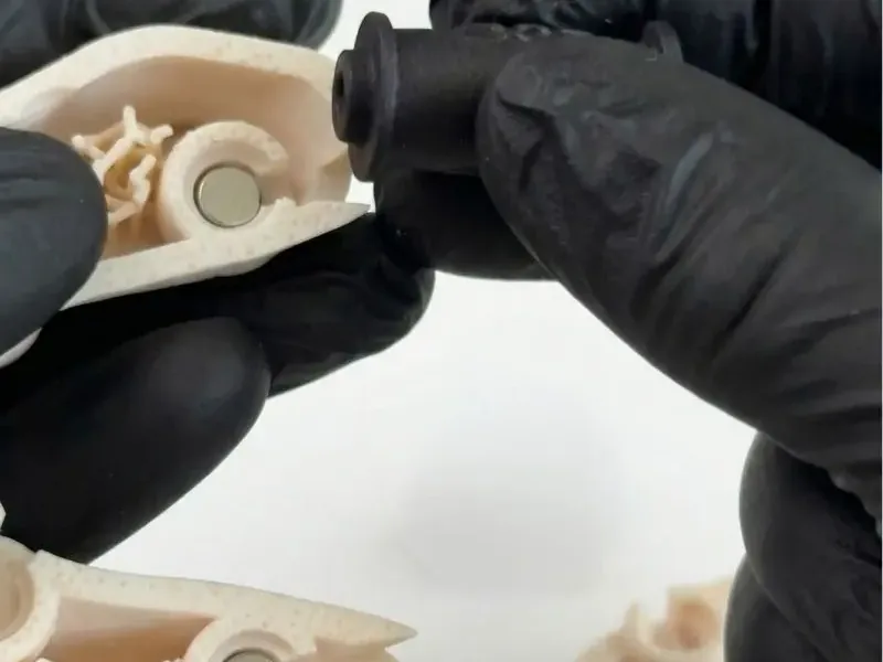 Calamite inserite a mano nella base del modello stampato